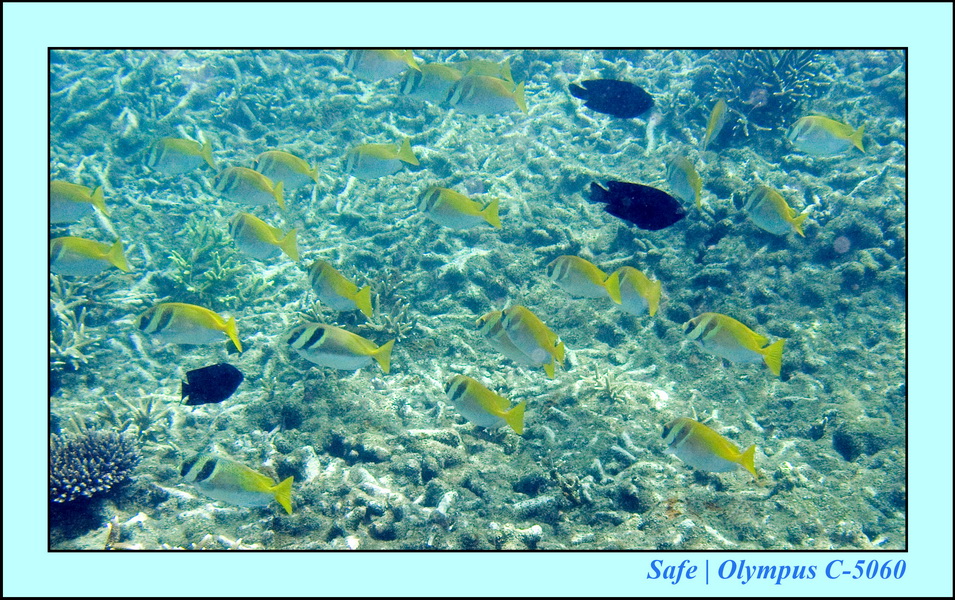 2008 - 07 - Redang - 007